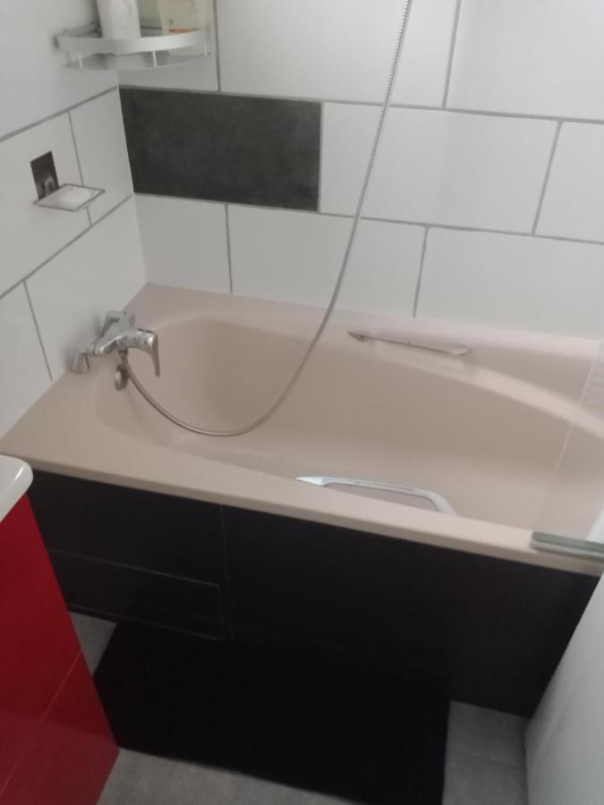 Apartmán Superbe T3 De 85 Metres Carres Toulouse Exteriér fotografie